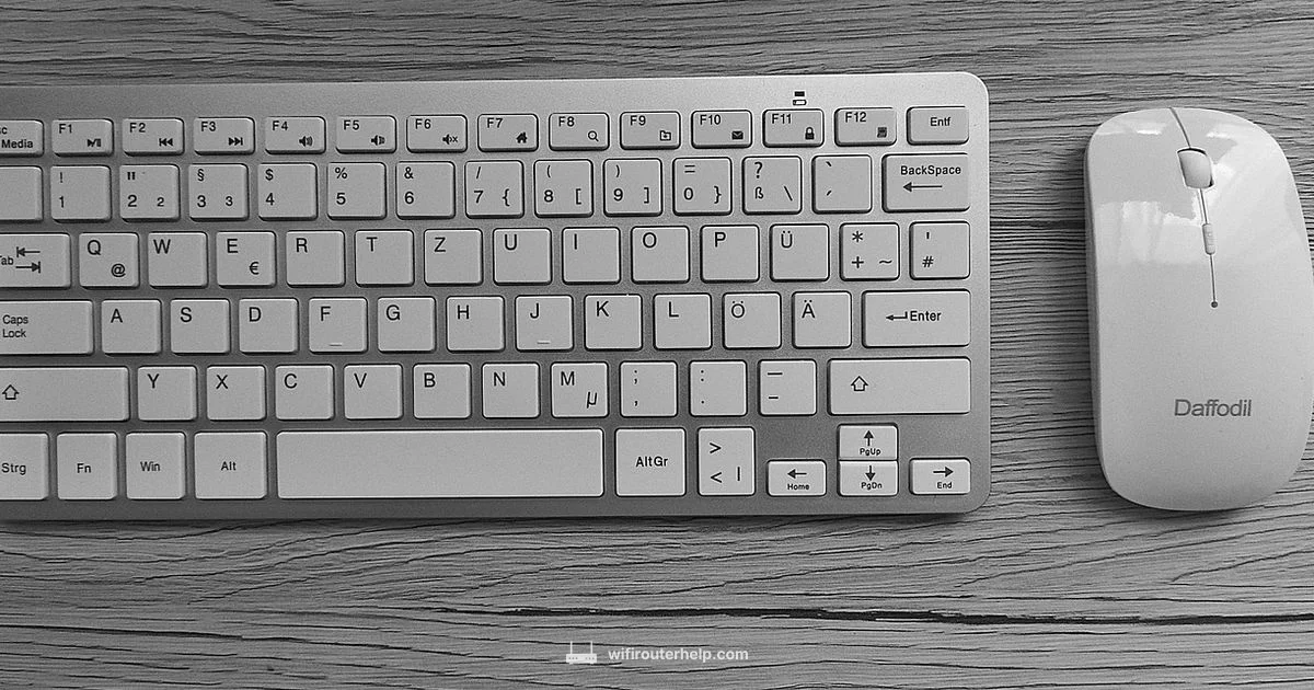 Router Setup Guide - WiFi Router Help