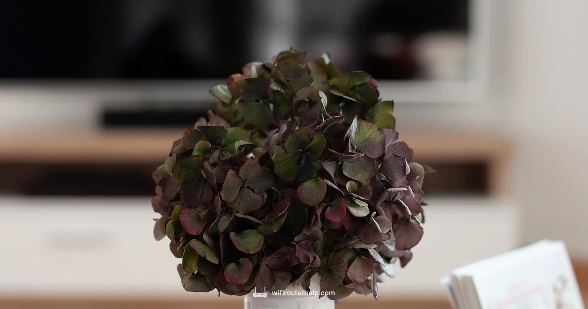 Seamless Mesh Setup - WiFi Router Help