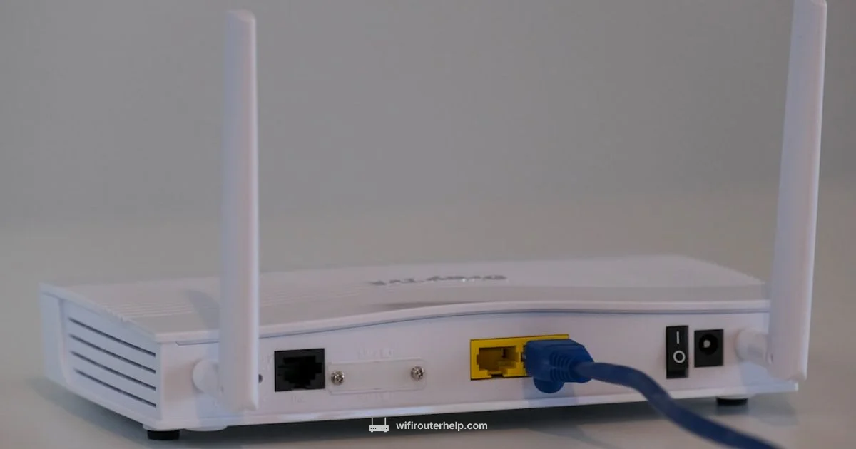 Is My Router 2.4 or 5 - WiFi Router Help