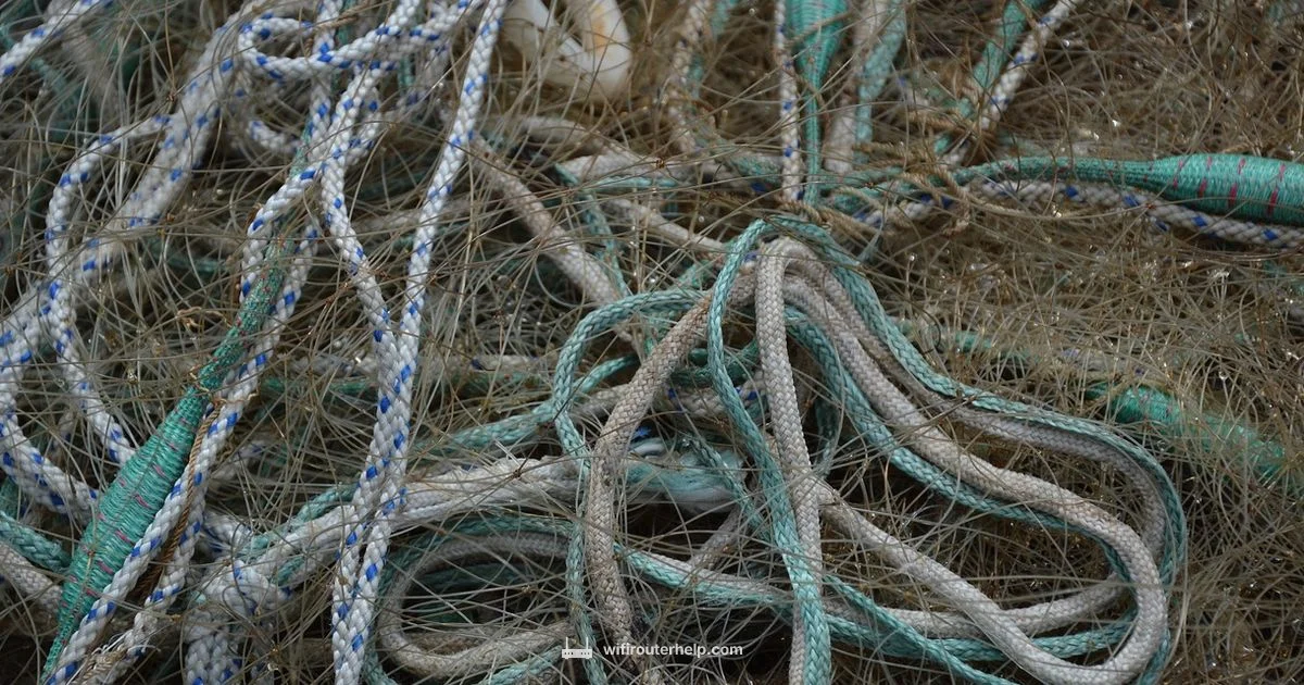 Router and Switch - WiFi Router Help