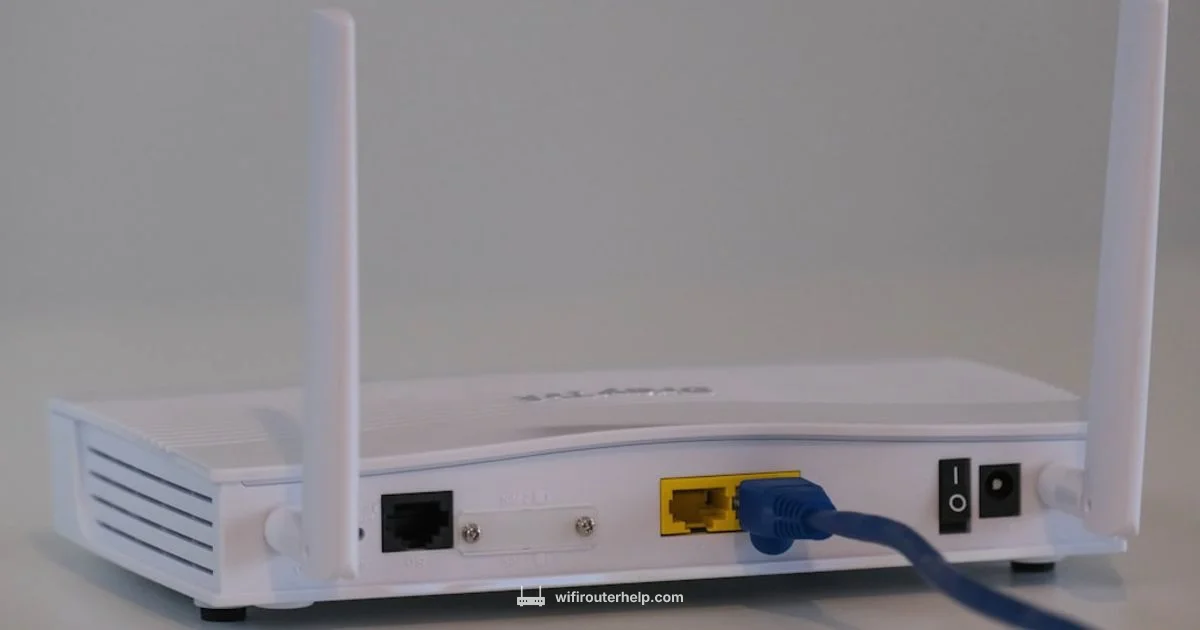 Router Essentials - WiFi Router Help
