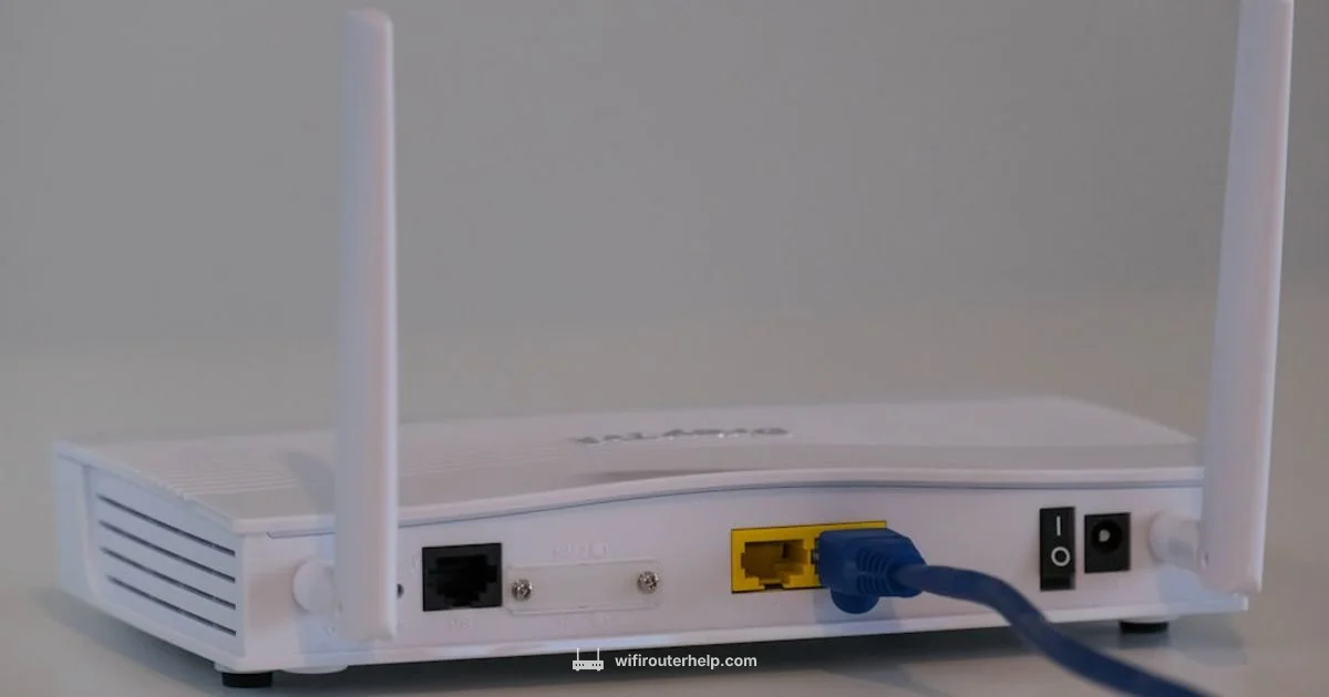 Router vs WiFi - WiFi Router Help