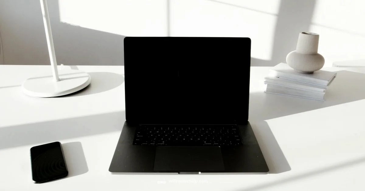 Google WiFi Mesh - WiFi Router Help