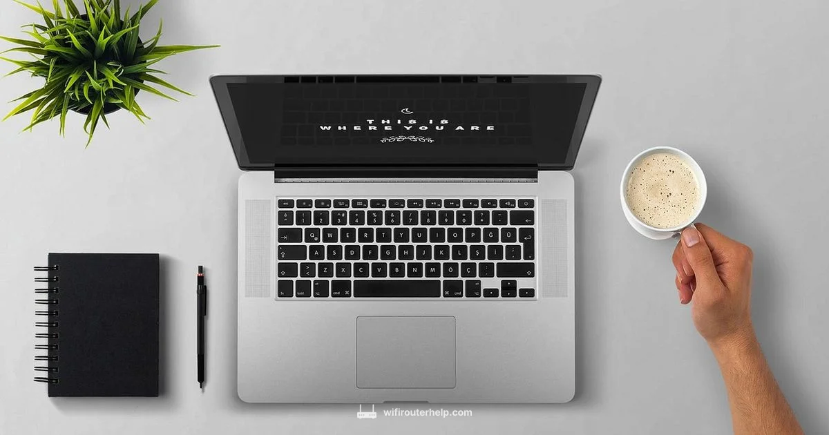 React Router DOM Guide - WiFi Router Help