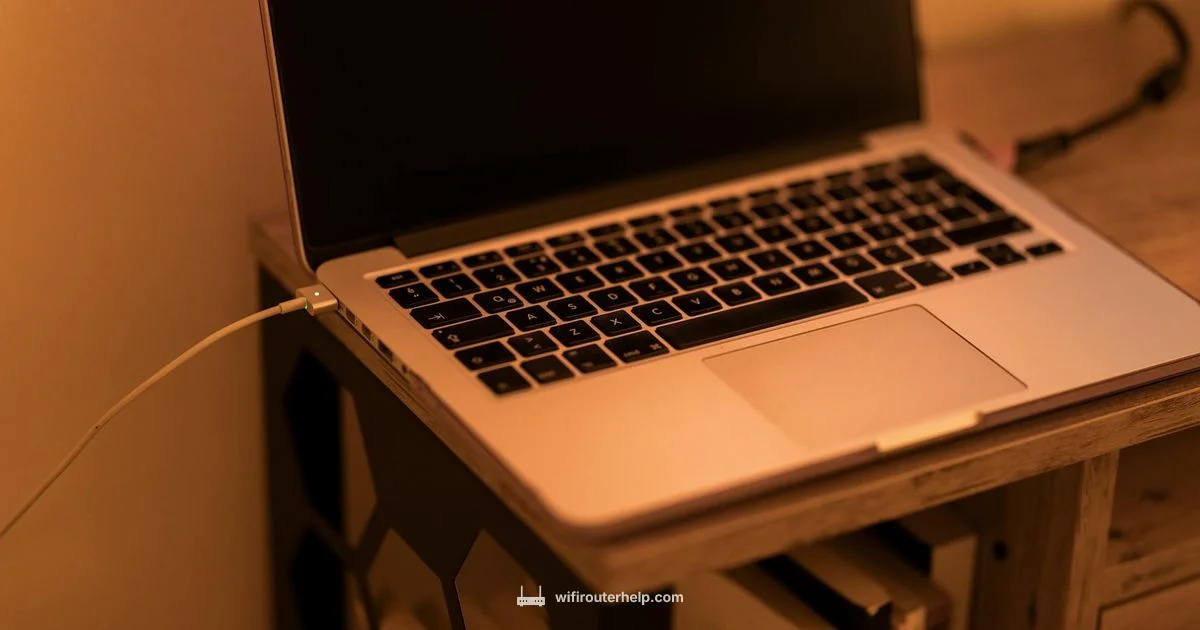 Router and Bridge - WiFi Router Help