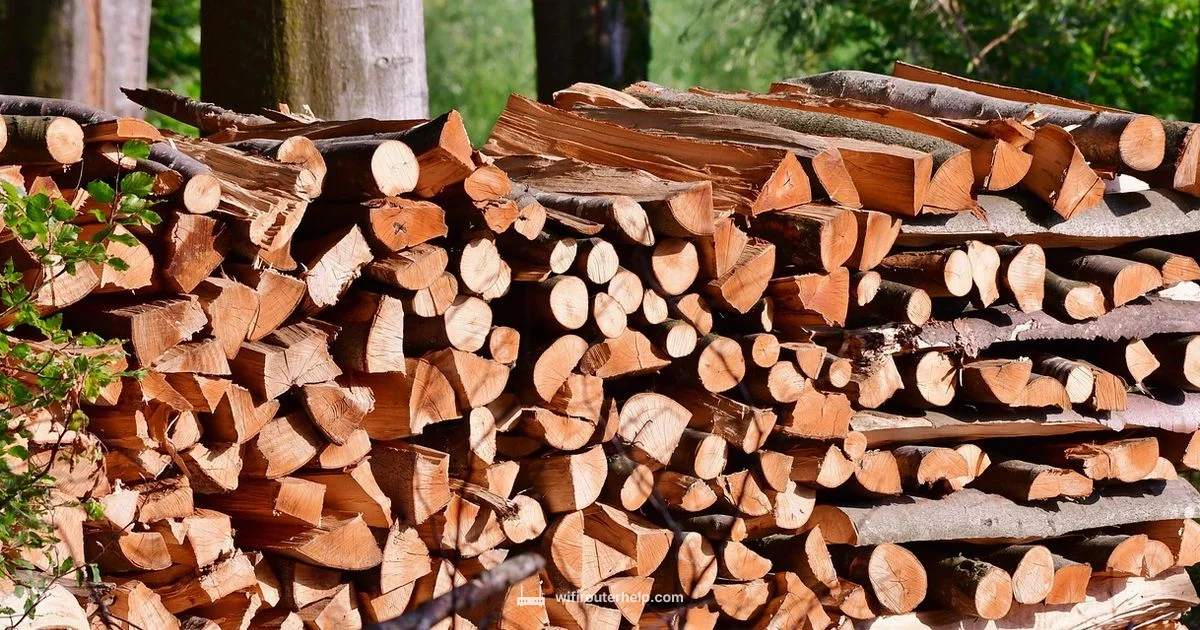 Circle Cutting Guide - WiFi Router Help