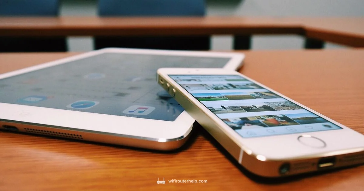 Budget Router Guide - WiFi Router Help