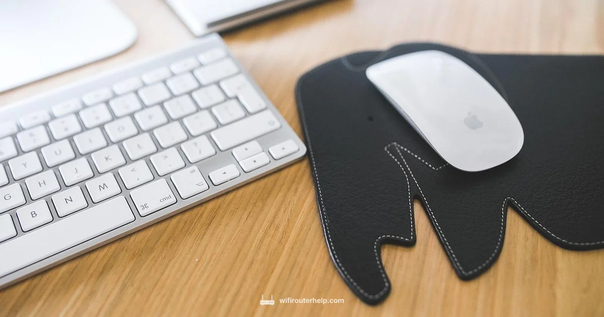 Eero Mesh Guide - WiFi Router Help