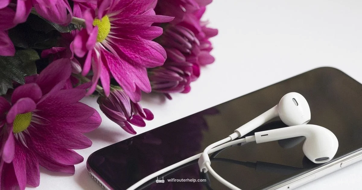 Best Budget Router - WiFi Router Help