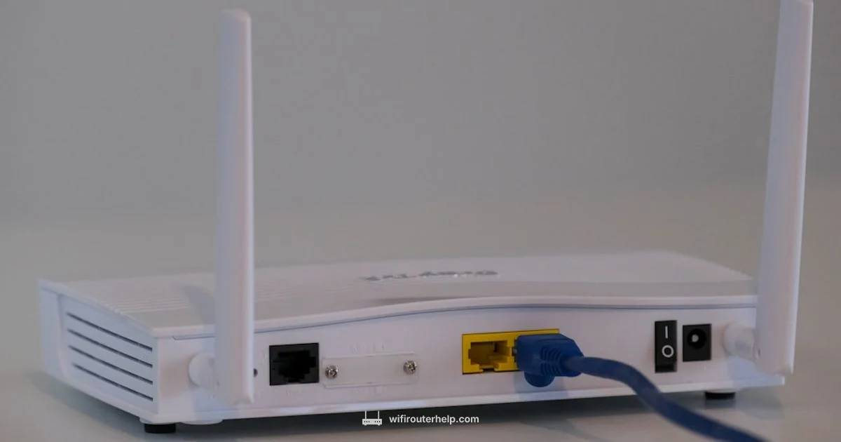 Router Lifespan Router Lifespan - WiFi Router Help