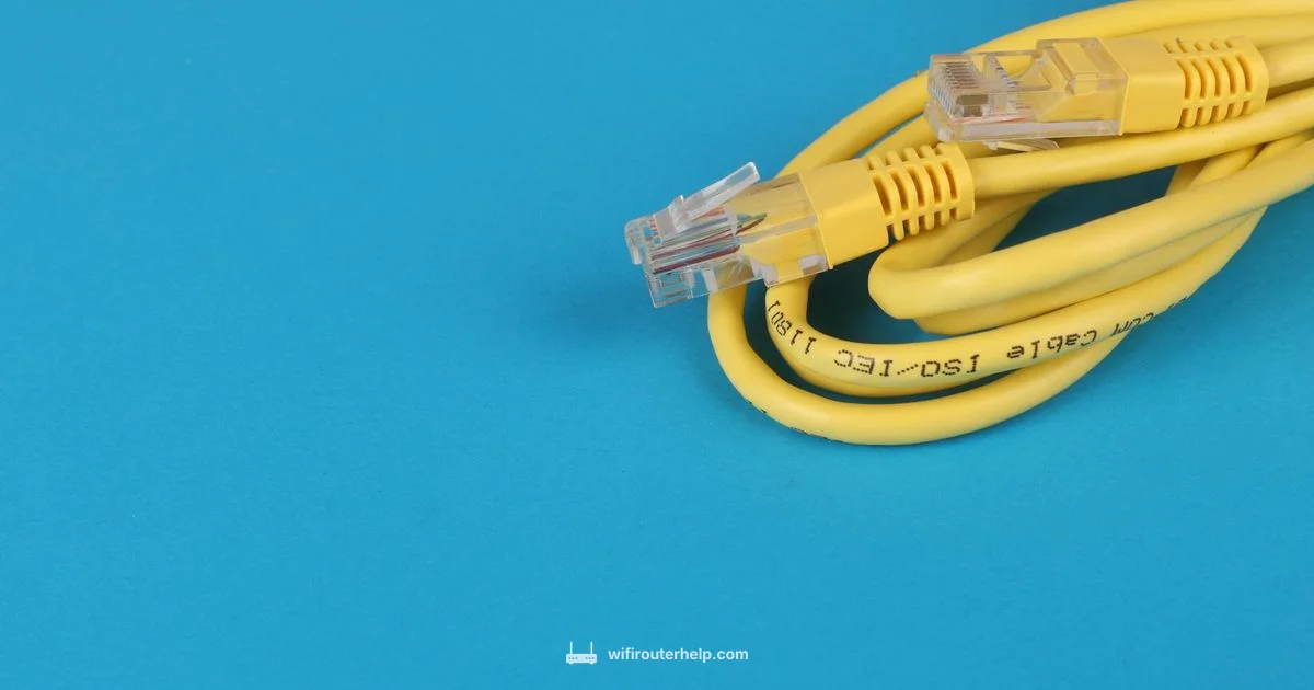 Gigabit Ethernet Guide - WiFi Router Help