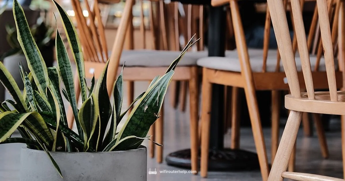 Find Your Network Key - WiFi Router Help