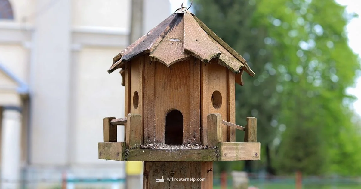 Router Bit Install Router Bit Install - WiFi Router Help