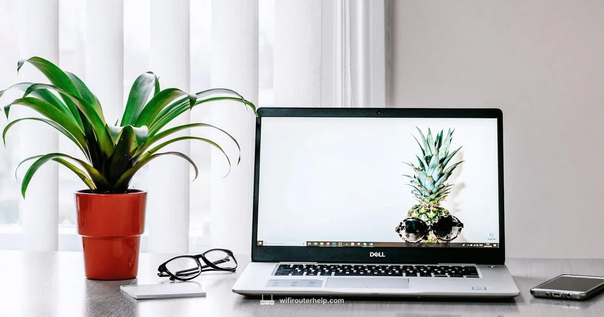 Router Privacy Guide - WiFi Router Help