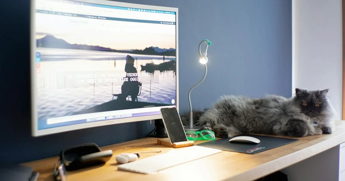 Optimum Net Setup Optimum Net Setup - WiFi Router Help