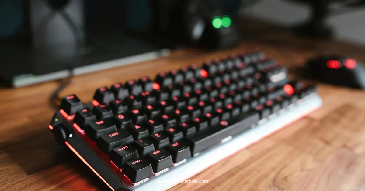 Nighthawk WiFi 7 - WiFi Router Help