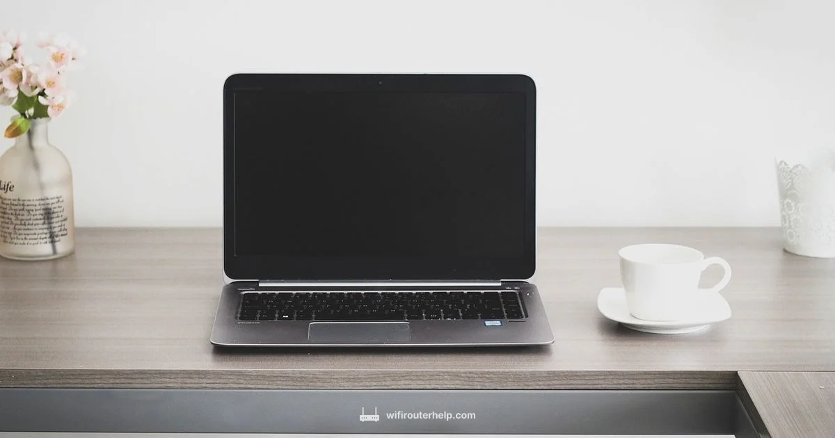 Starlink Router Guide - WiFi Router Help