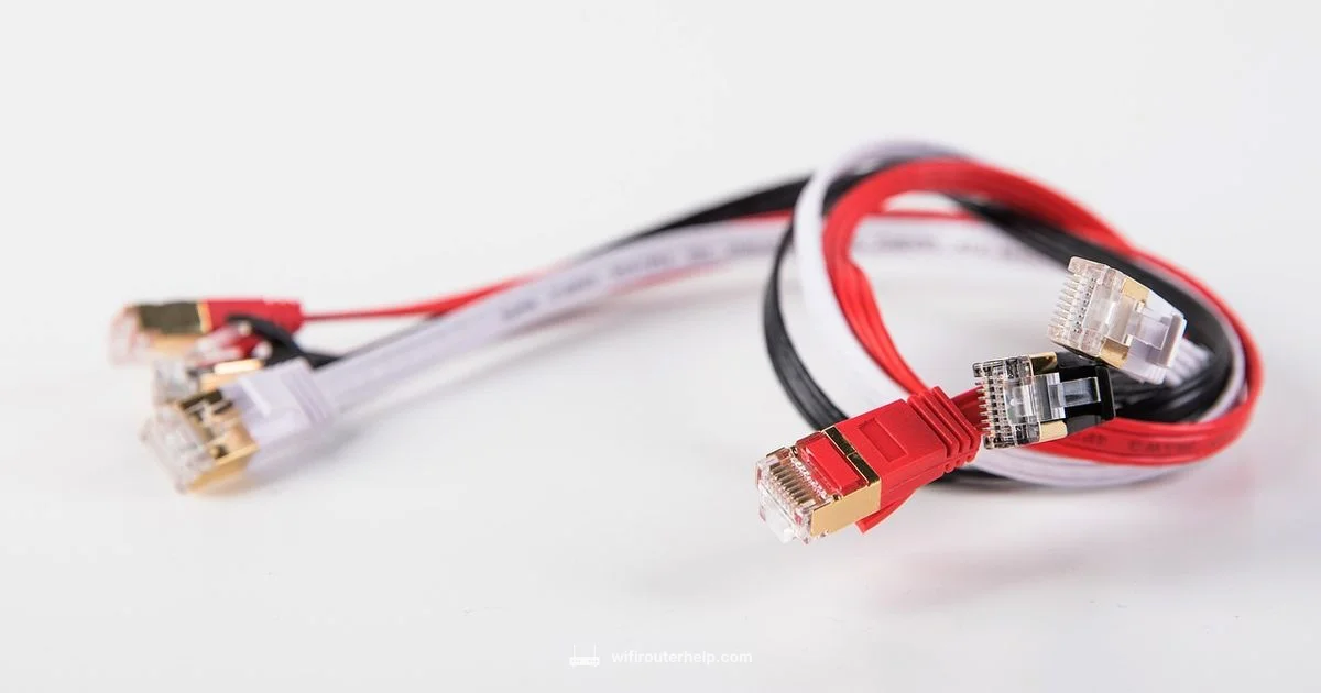 Cat6a to Cat8 Guide - WiFi Router Help