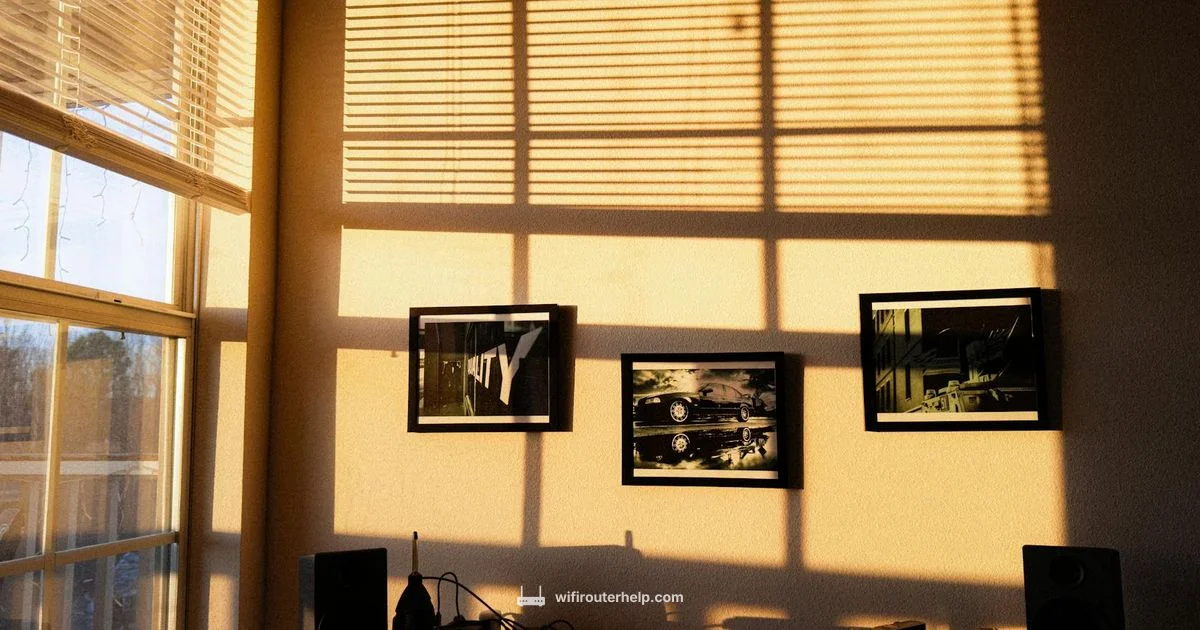 Clean Router WiFi - WiFi Router Help