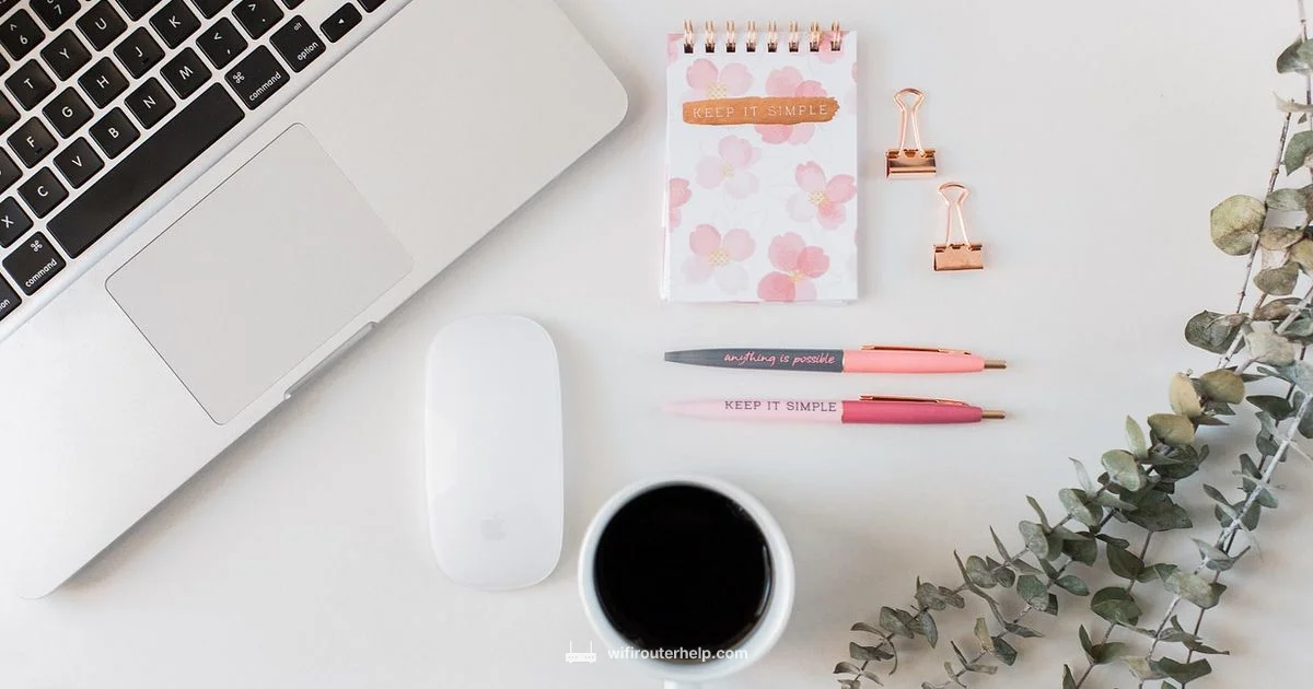 Router Basics Guide - WiFi Router Help