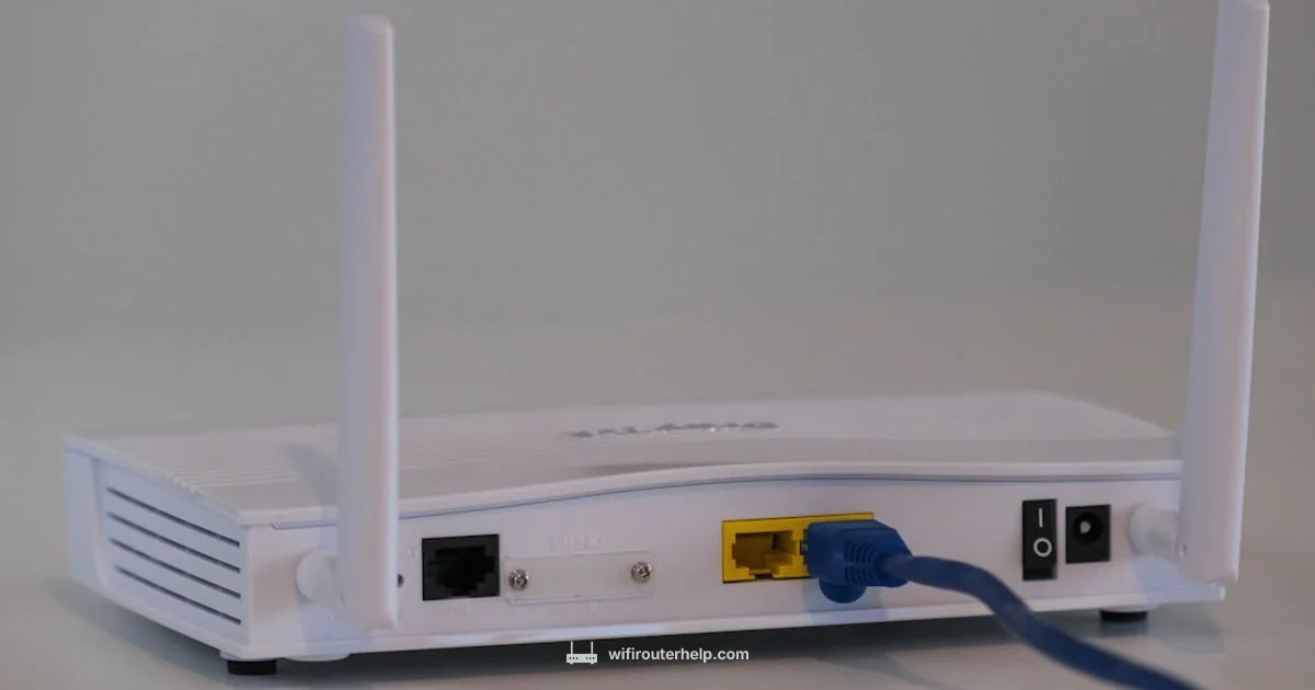 Router Essentials - WiFi Router Help