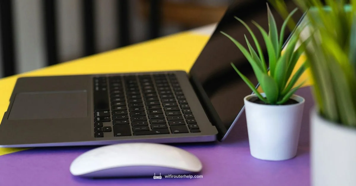 Set Up Your Network Set Up Your Network - WiFi Router Help