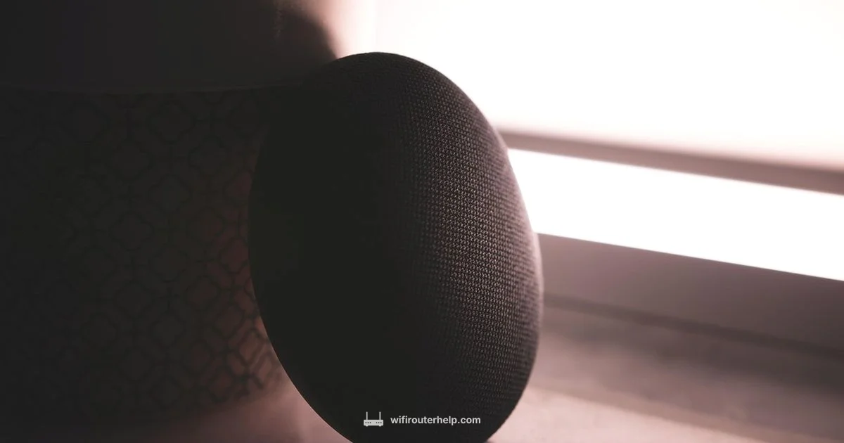 Starlink Mini Setup - WiFi Router Help