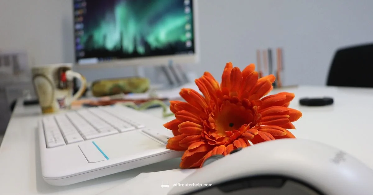 Xfinity Router Guide - WiFi Router Help