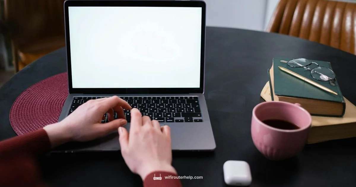 Ants vs Router - WiFi Router Help