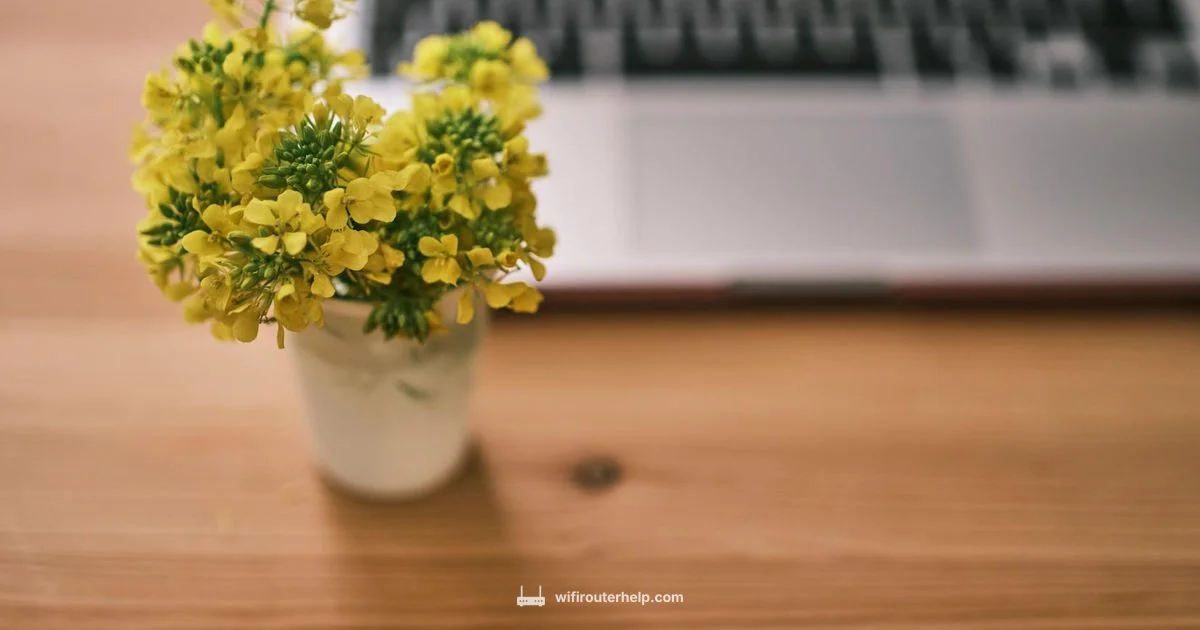 Blinking Yellow Fix - WiFi Router Help