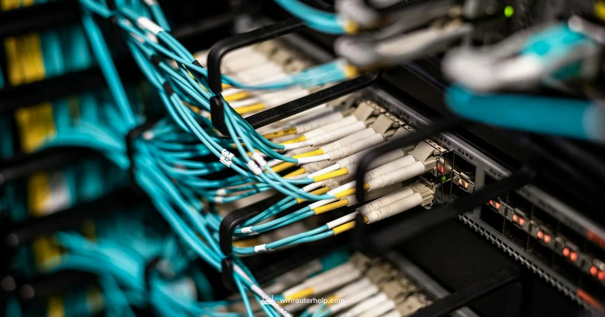 Router Setup - WiFi Router Help