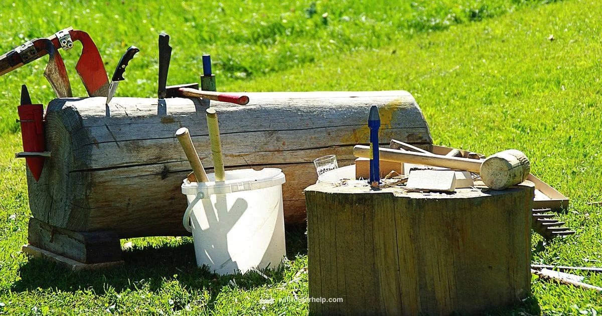 Plunge Router Guide Plunge Router Guide - WiFi Router Help