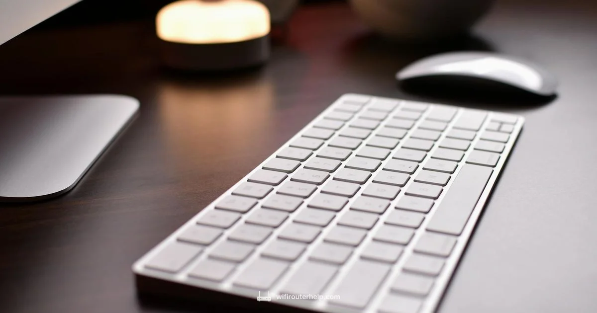 Router Look Like - WiFi Router Help