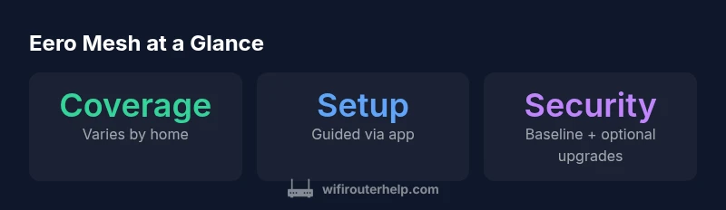Infographic showing Eero setup and features