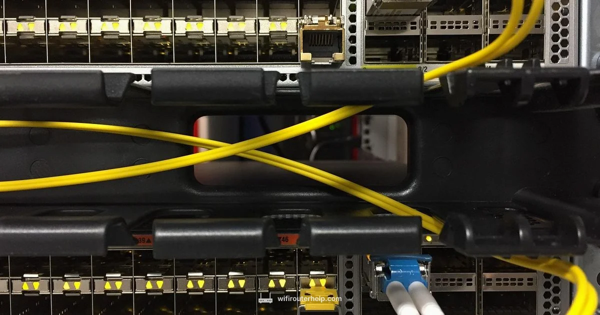 Router Look Guide Router Look Guide - WiFi Router Help