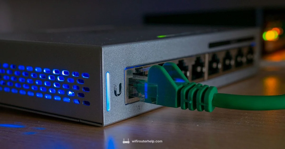 Blinking Router Fix - WiFi Router Help