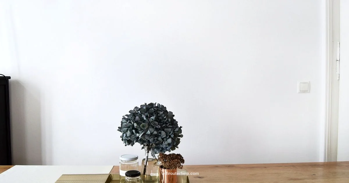 Quantum Router Login - WiFi Router Help