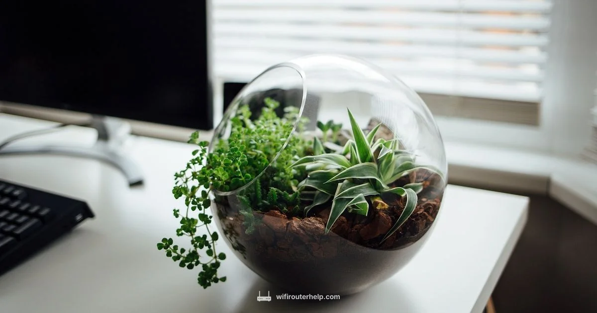 Router Essentials - WiFi Router Help