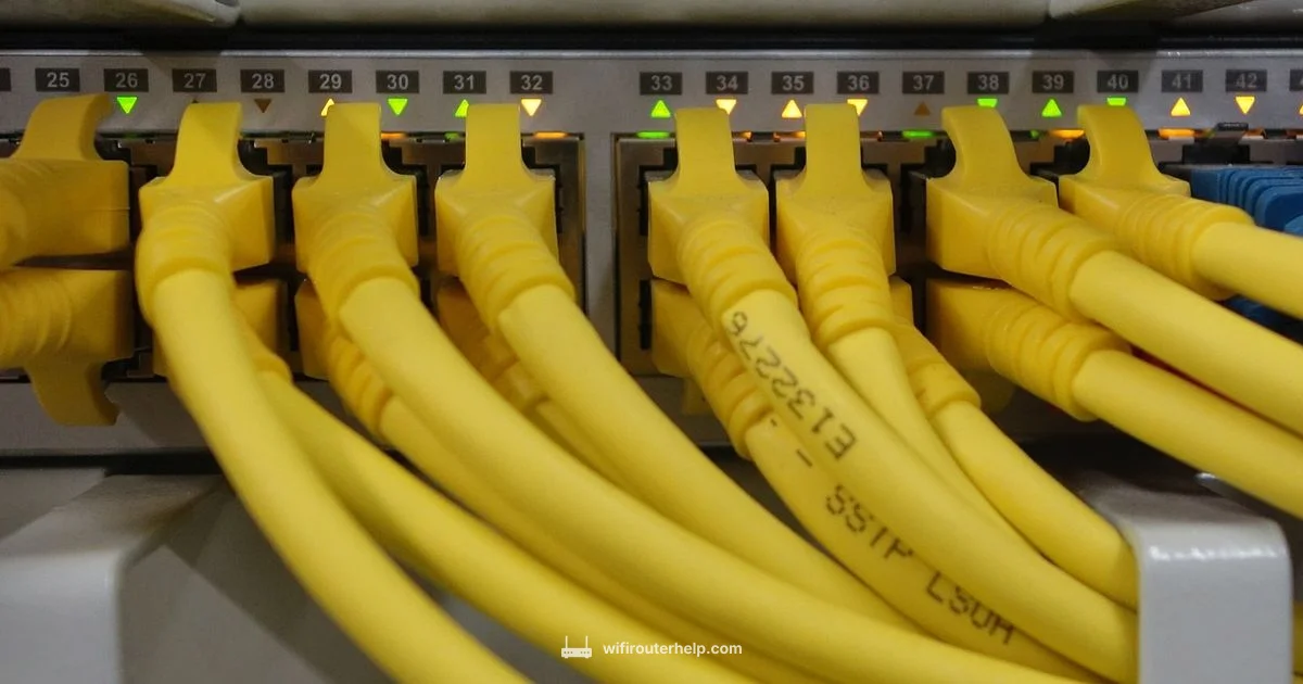 Straight-Line Cable Routing Straight-Line Cable Routing - WiFi Router Help