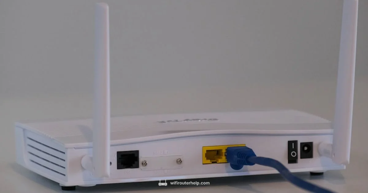 Router Setup Guide - WiFi Router Help