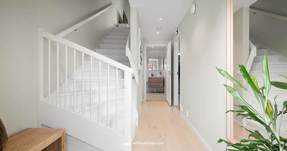 Deco X55 Guide - WiFi Router Help