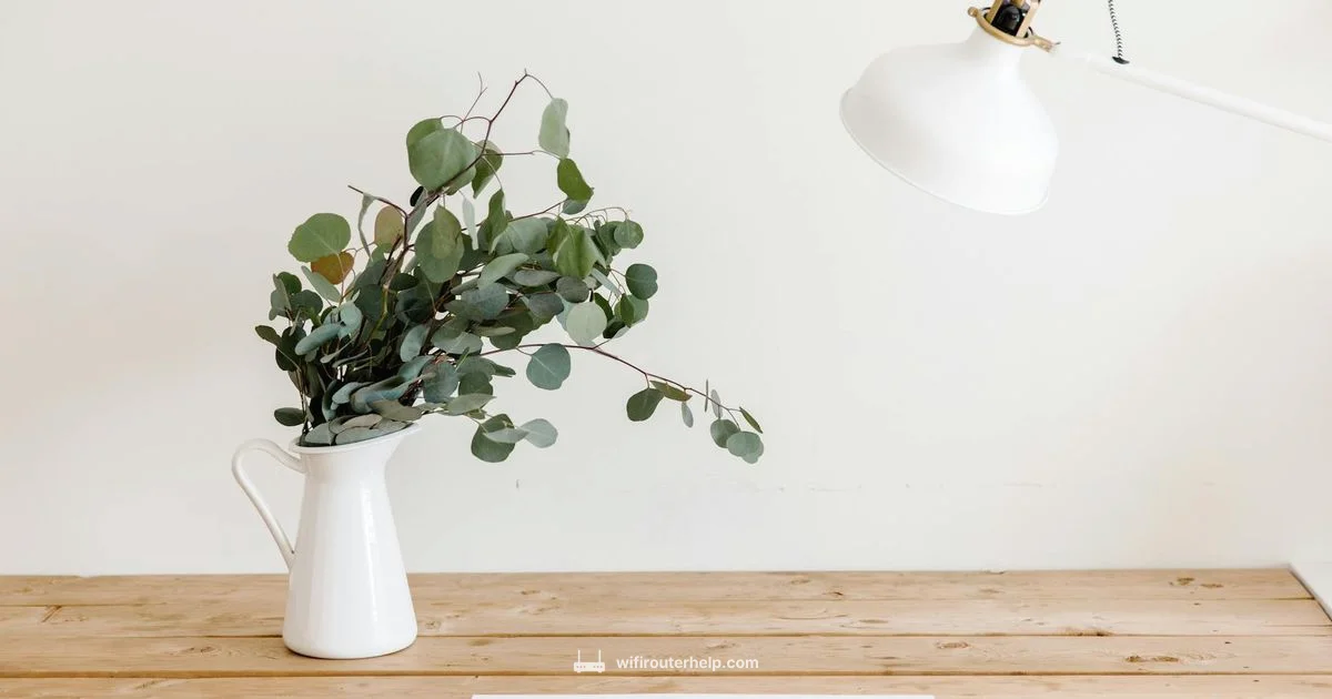 Reset Router Password - WiFi Router Help