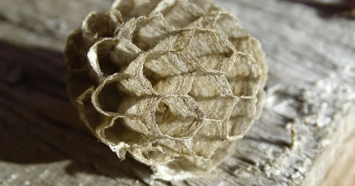 Nest Wifi Setup - WiFi Router Help