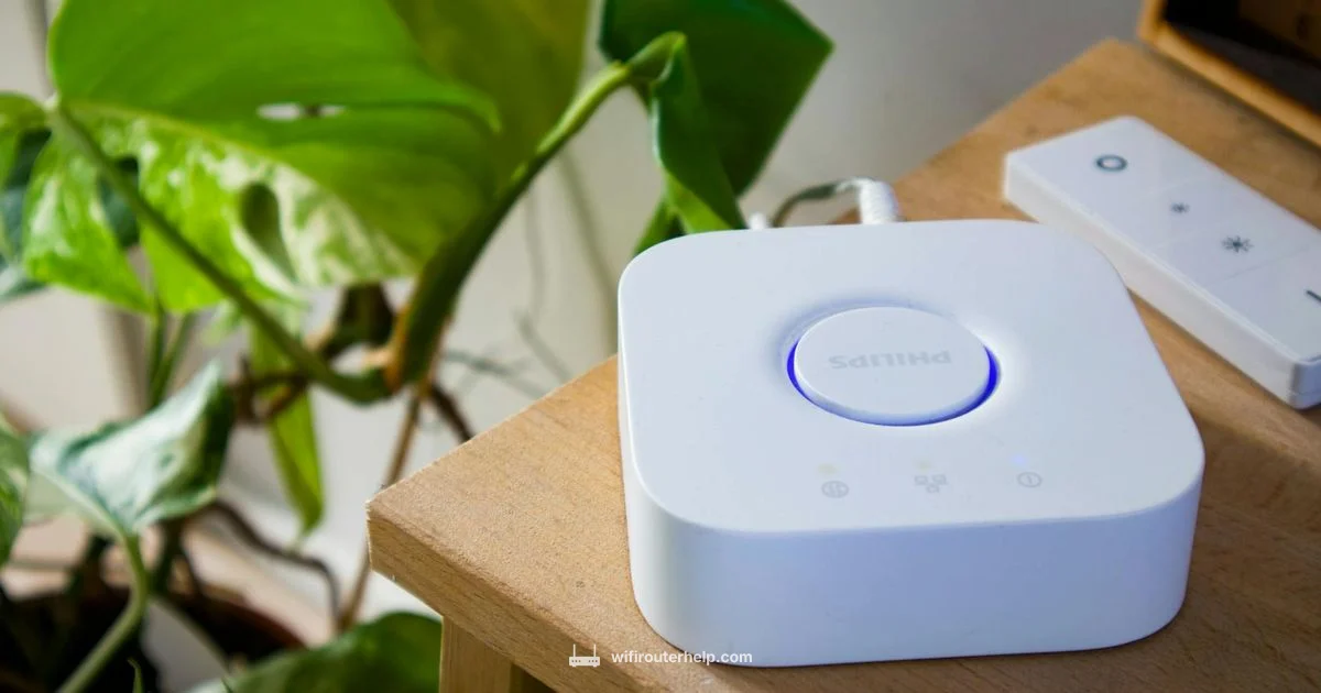 Archer C80 Review - WiFi Router Help