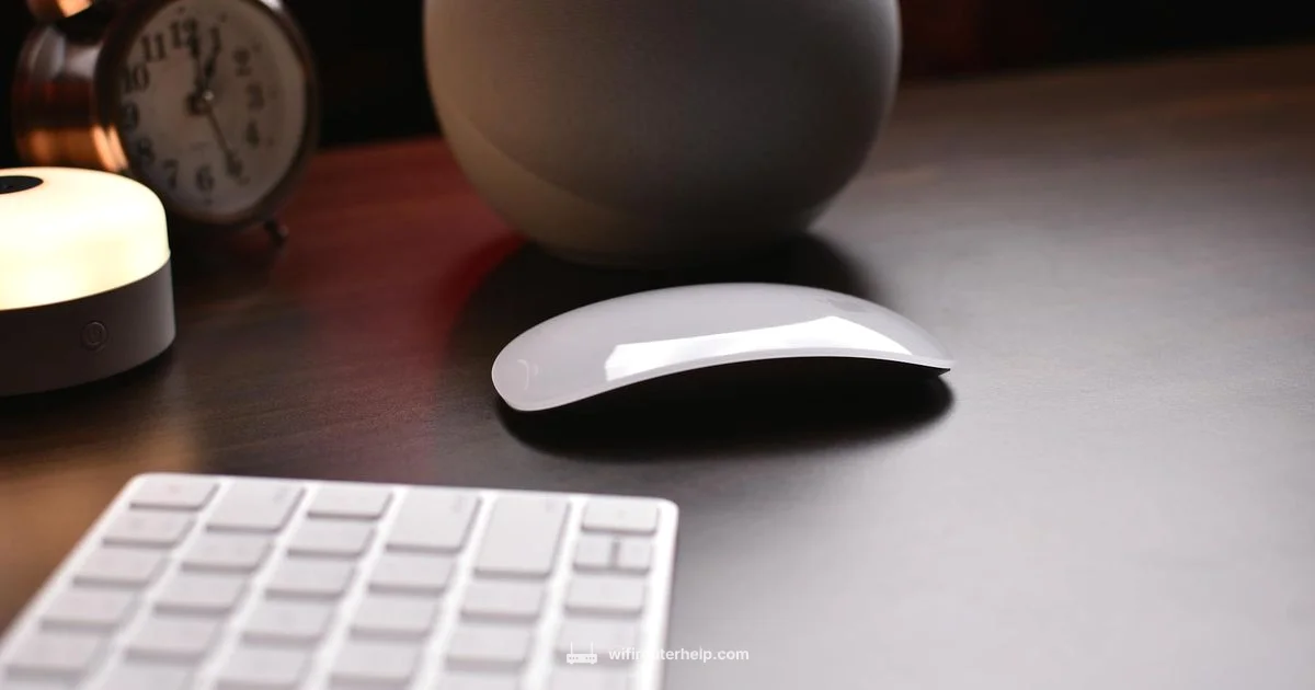 Router VPN Setup - WiFi Router Help