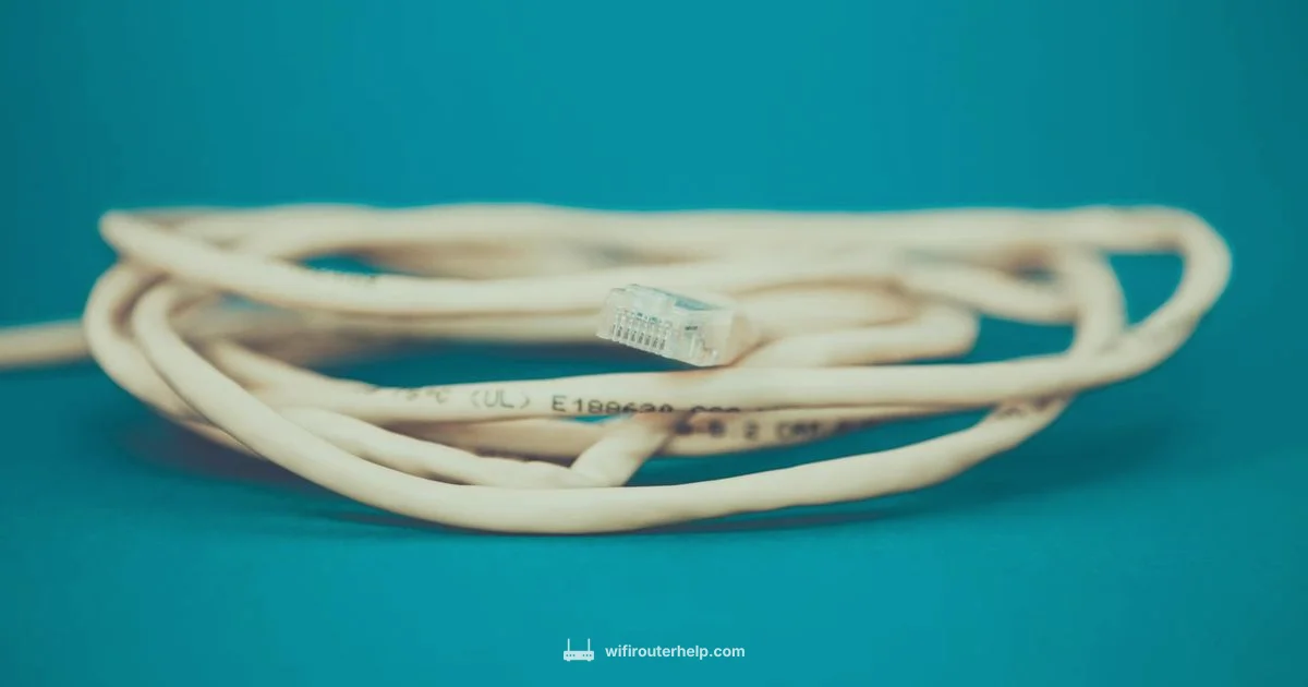 Wired Backhaul - WiFi Router Help