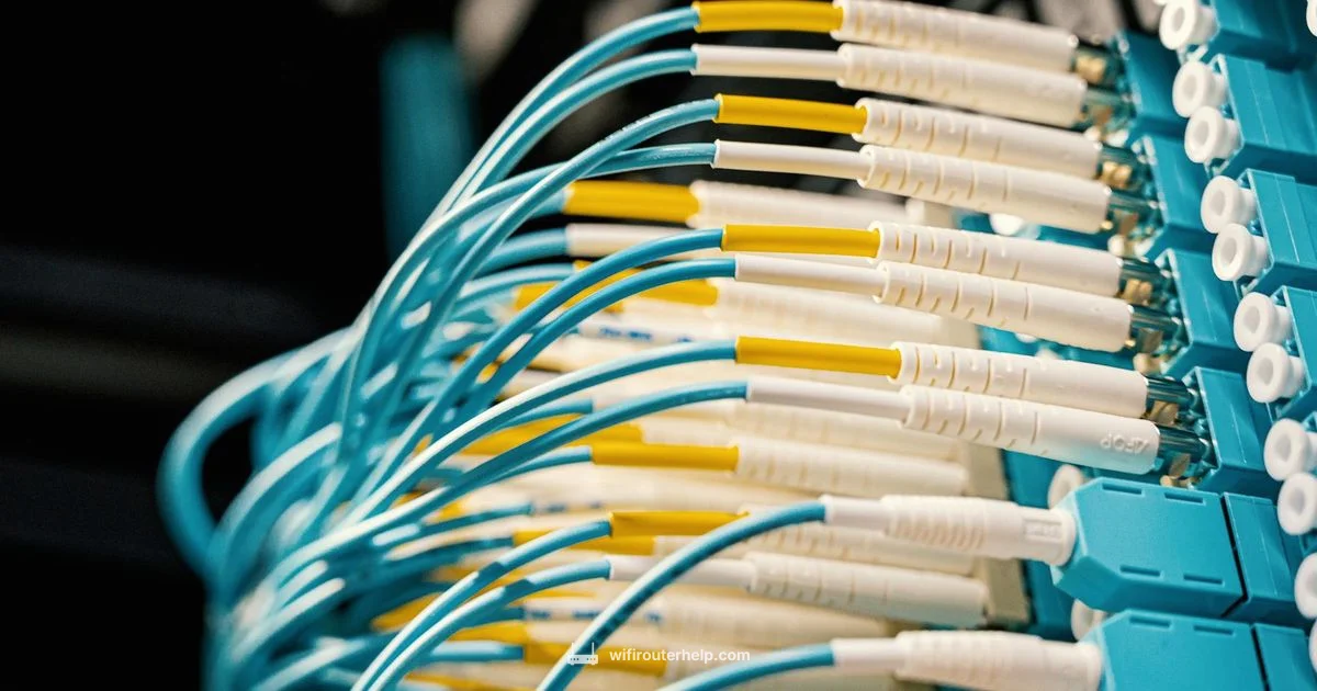 ONT to Router Setup - WiFi Router Help