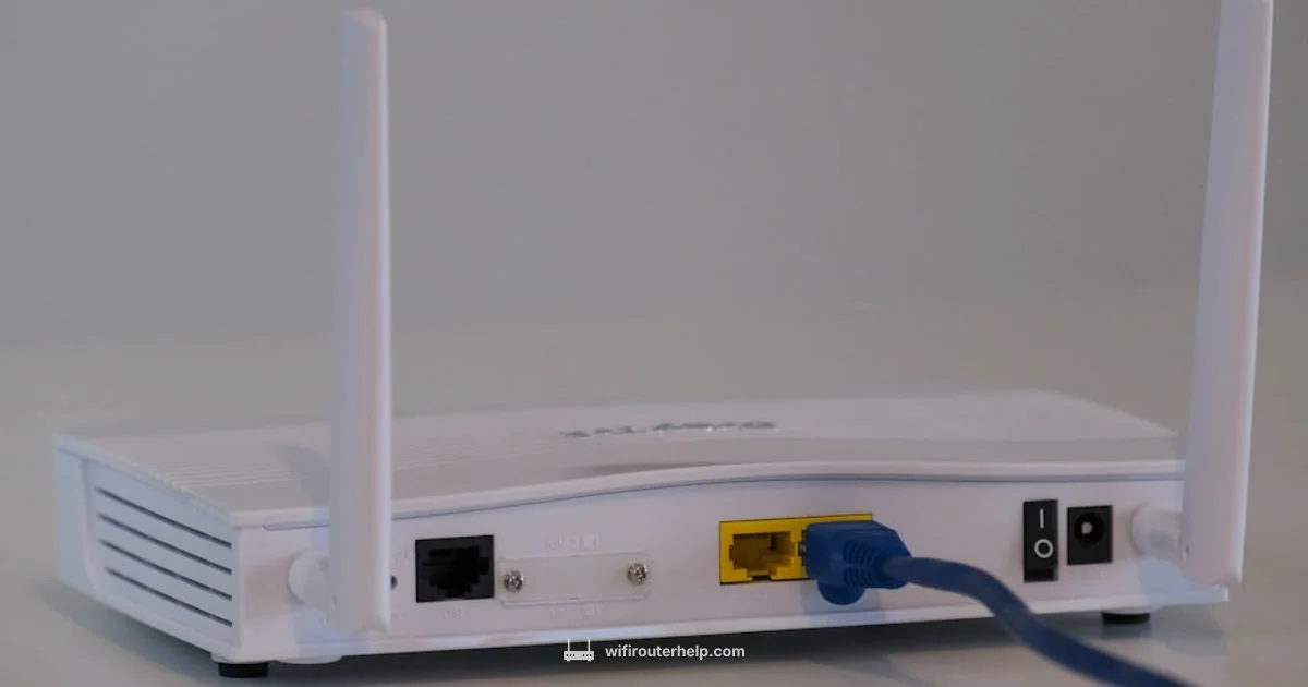 Top Router Guide - WiFi Router Help