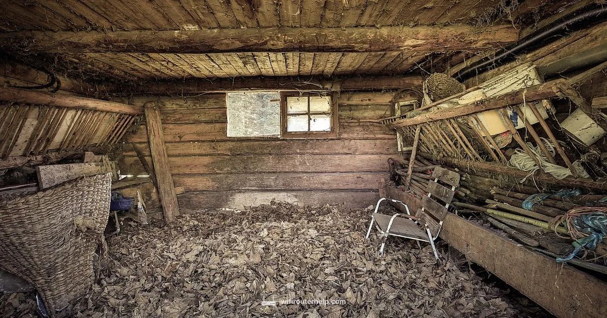 Old Router Guide - WiFi Router Help