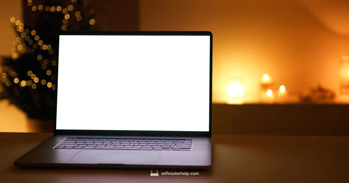 Router Issues Guide - WiFi Router Help